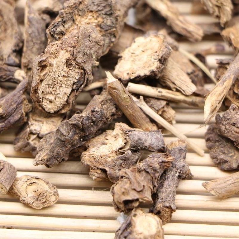 中药材墓回头慕回头墓头回追风箭