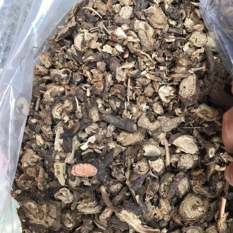 中药材墓回头慕回头墓头回追风箭
