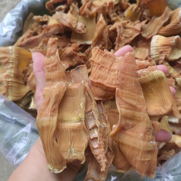 当季脆笋干片