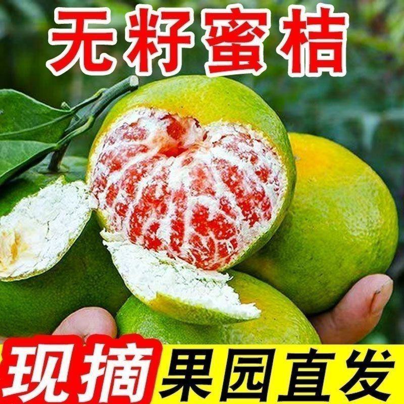 蜜橘湖南蜜橘特早蜜桔普早蜜橘，金秋砂糖橘