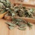 金钱草中药材正宗正品金钱草新鲜晒干广西大叶金钱草