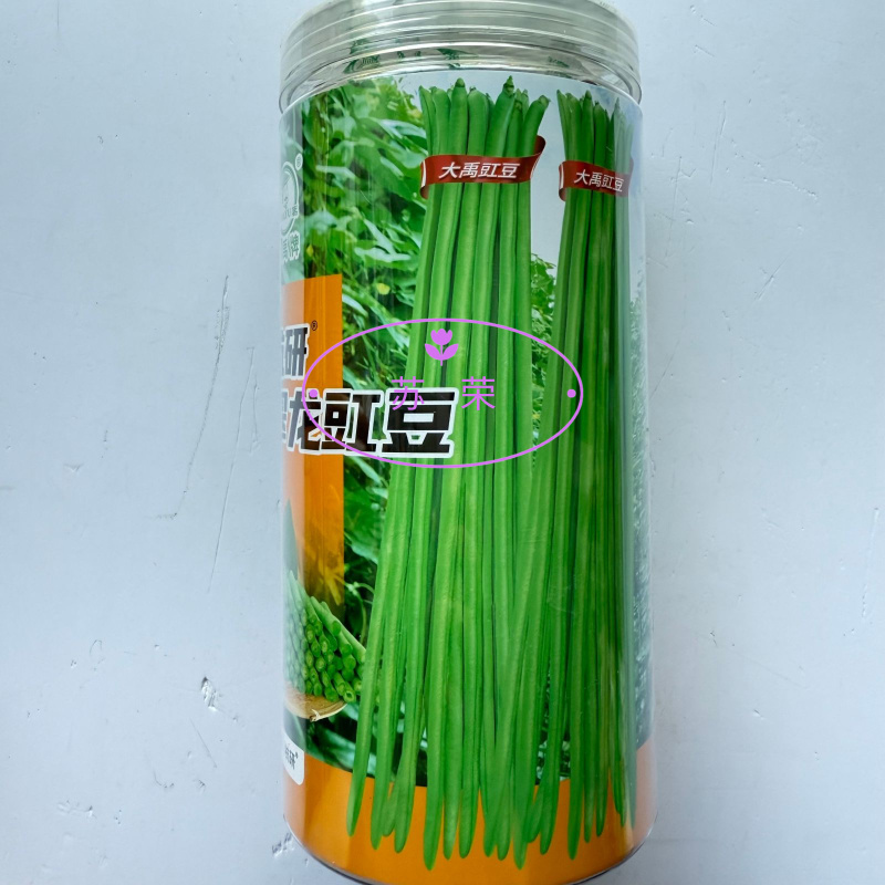 杭研翠龙豇豆种子翠绿型长豆角条荚顺直粗细均匀无鼓籽豆