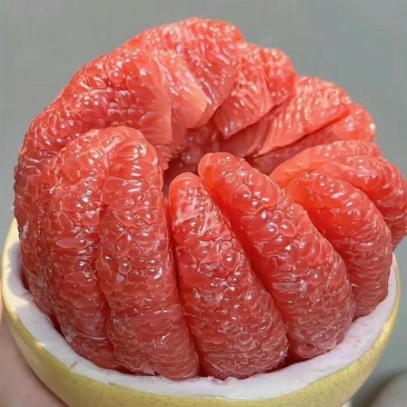 【推荐】梅县红心蜜柚皮薄多汁产地直供一件代发