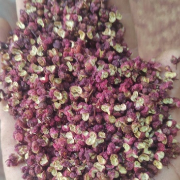 正宗文县花椒麻味十足