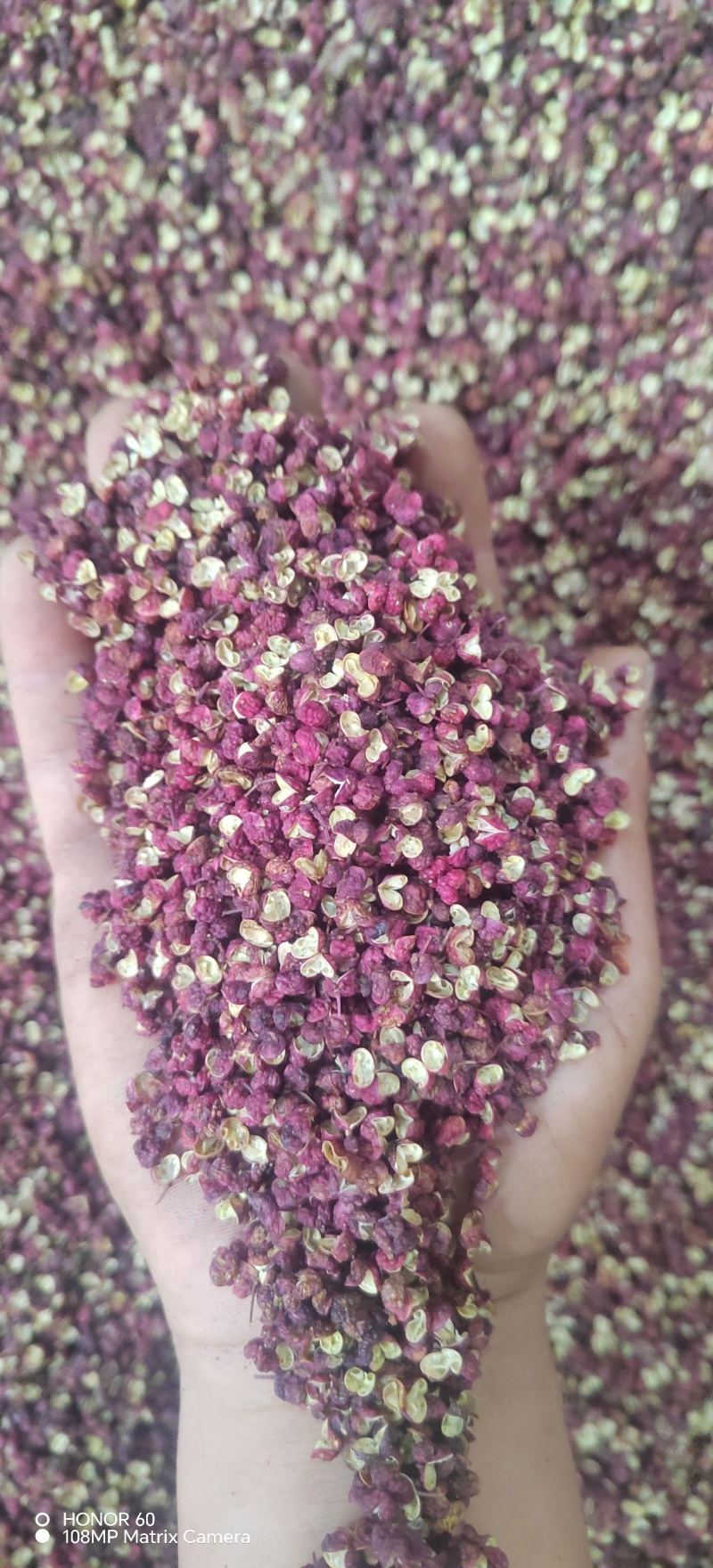 正宗文县花椒麻味十足