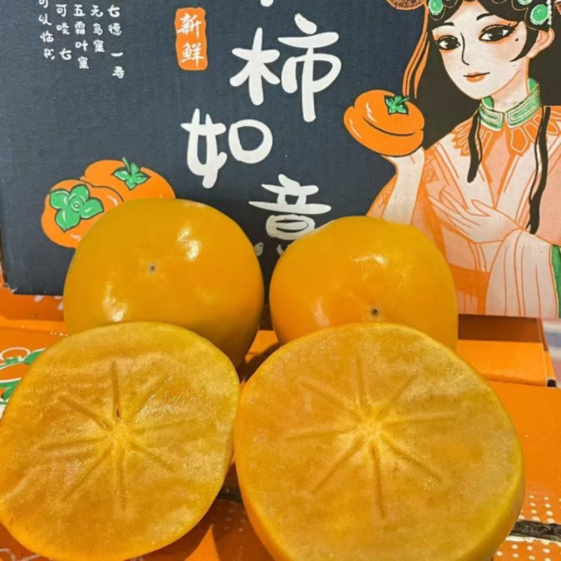 阳丰脆柿电视一件代发5斤支持各大平台代发
