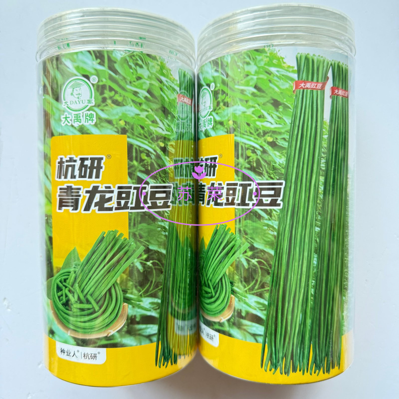 杭研青龙豇豆种子早熟高产深绿条长豆角种籽春秋播种蔬菜