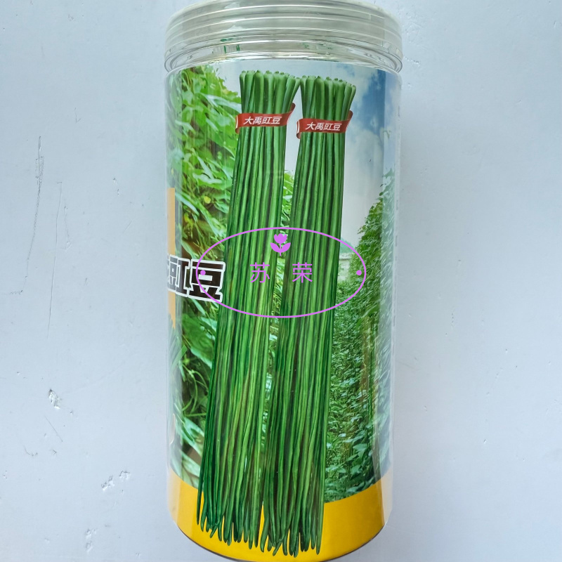 杭研青龙豇豆种子早熟高产深绿条长豆角种籽春秋播种蔬菜