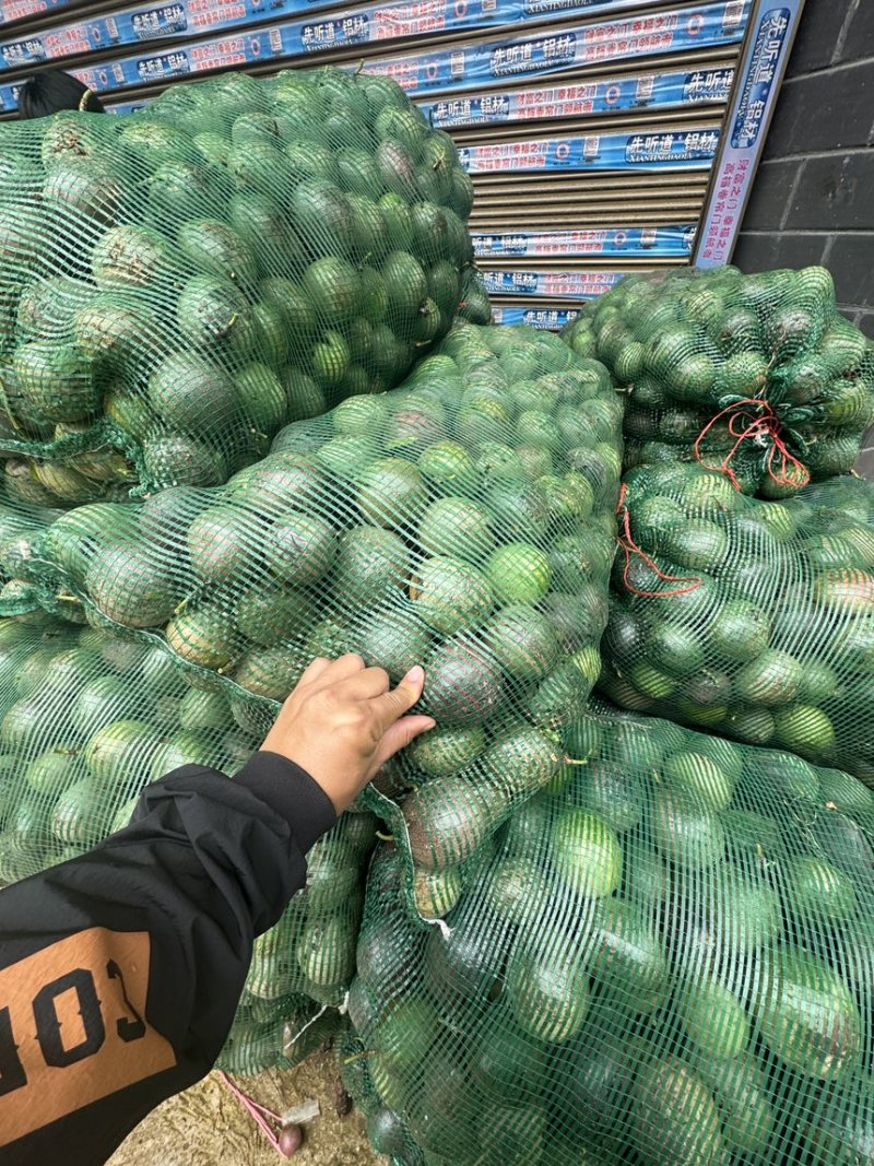 云南台农一号百香果紫果加工果工厂挖浆果品质保证