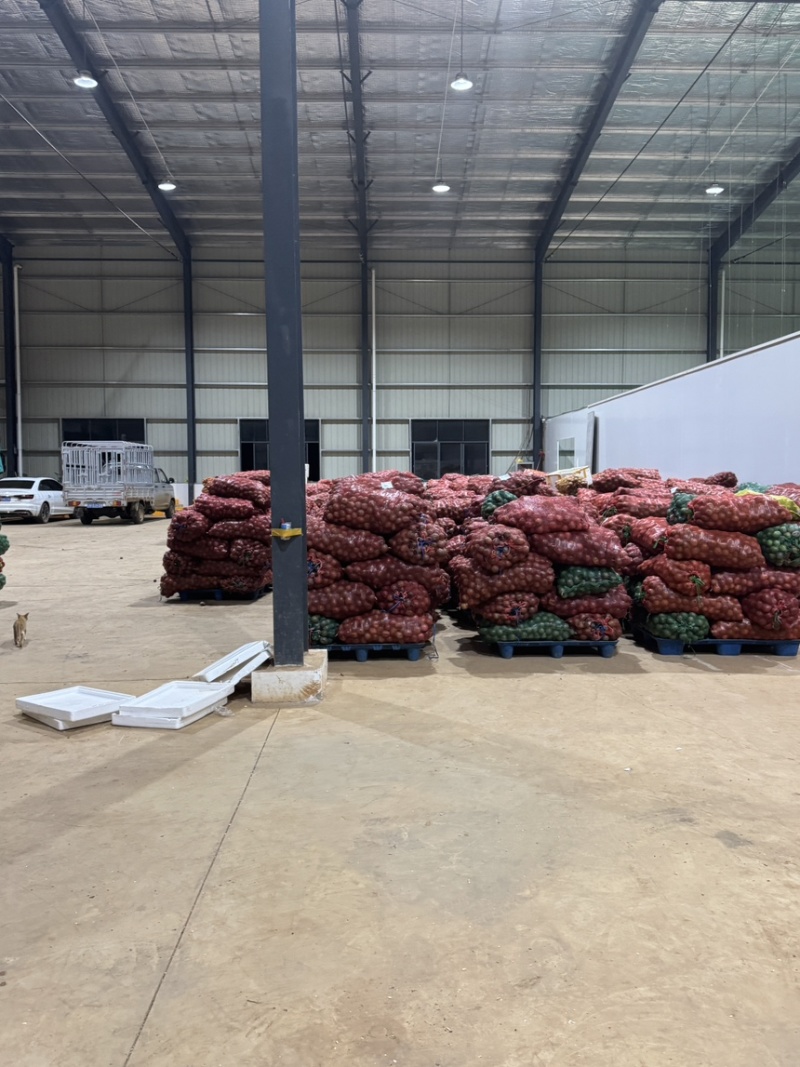 云南台农一号百香果紫果加工果工厂挖浆果品质保证