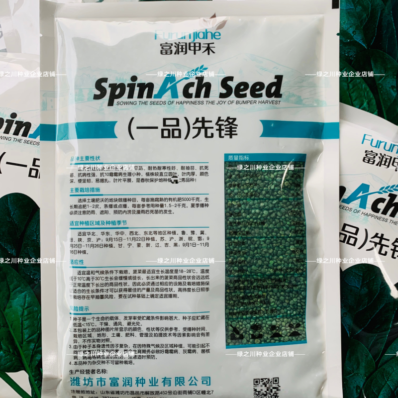 一品先锋菠菜种子叶肉厚颜色深耐抽薹抗病春秋大叶菠菜种籽