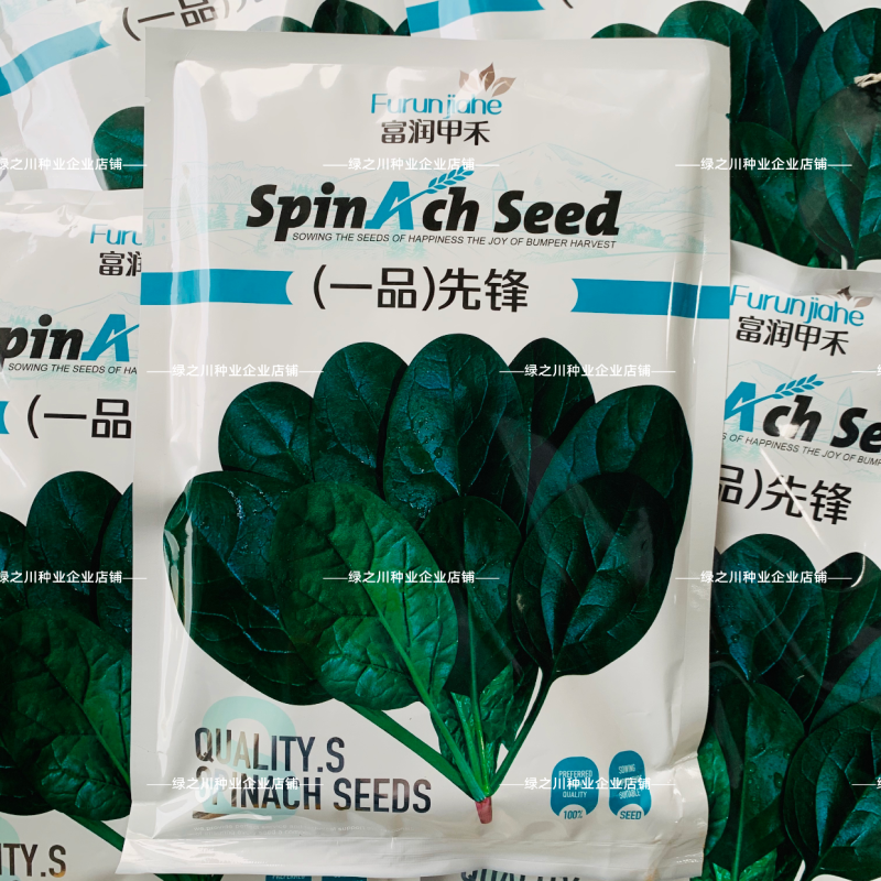一品先锋菠菜种子叶肉厚颜色深耐抽薹抗病春秋大叶菠菜种籽