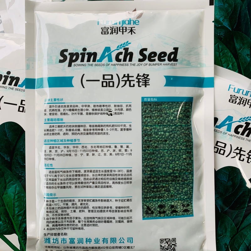 一品先锋菠菜种子叶肉厚颜色深耐抽薹抗病春秋大叶菠菜种籽