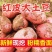 《雪川红土豆》河北基地直发保质保量对接全国一条龙服务