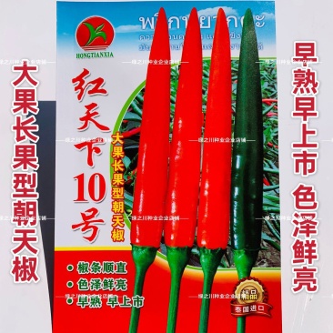 红天下10号朝天椒种子大果早熟长果型朝天椒种籽青红两用