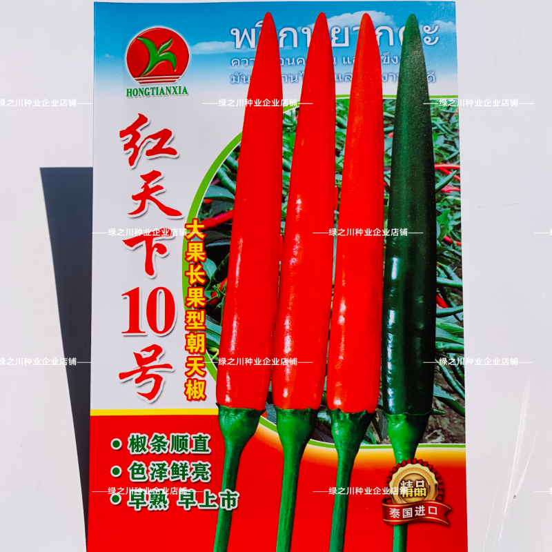 红天下10号朝天椒种子大果早熟长果型朝天椒种籽青红两用