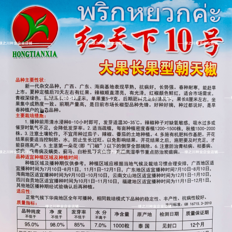 红天下10号朝天椒种子大果早熟长果型朝天椒种籽青红两用