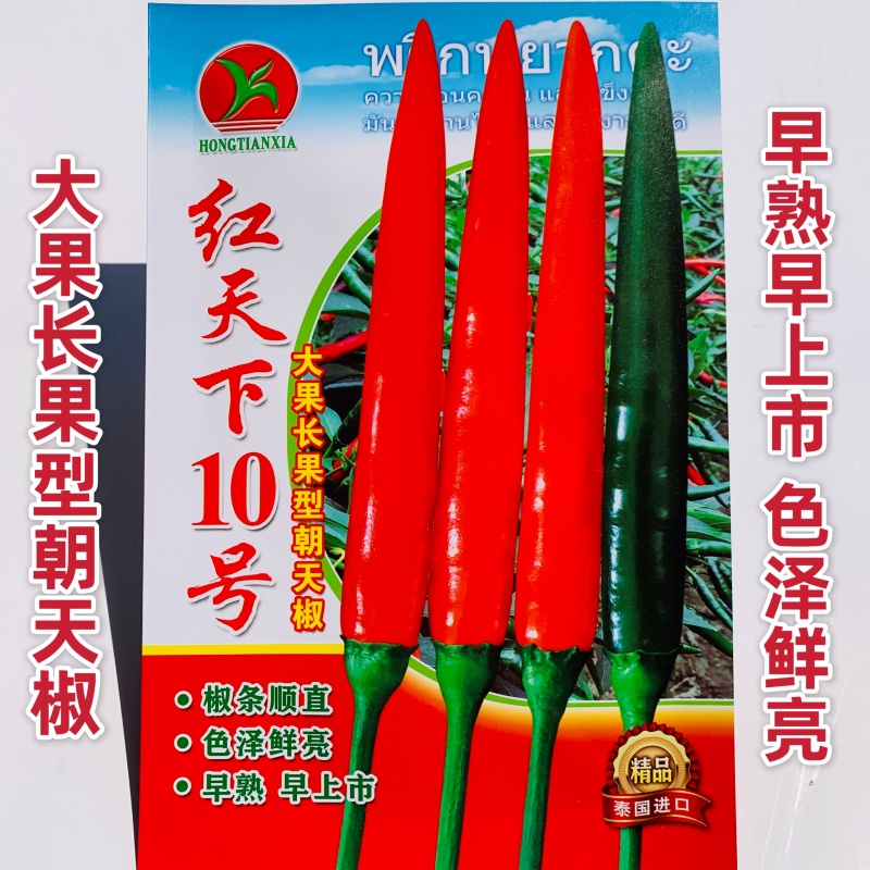 红天下10号朝天椒种子大果早熟长果型朝天椒种籽青红两用