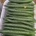 河南精品密刺黄瓜，全国发货，量大从优，可对接电商批发市场