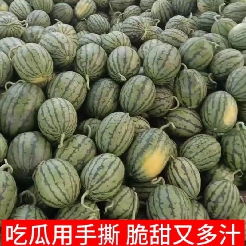 精品小吊瓜2k西瓜，产地直发，物美价优，诚信经营，欢迎来电