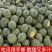 小糖丸西瓜精品小西瓜，品质保证，量大从优，可视频看货