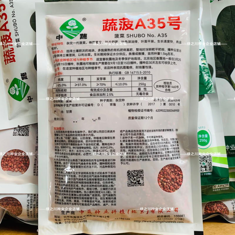 中蔬蔬菠A35菠菜种子高产杂交抗病一代耐寒叶片直立深油绿