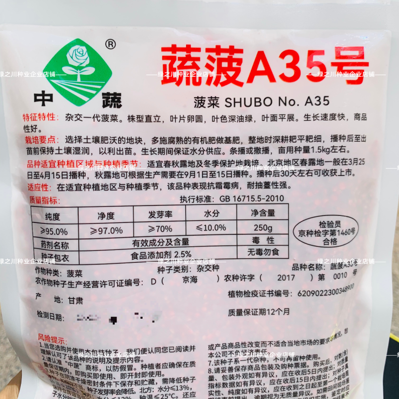 中蔬蔬菠A35菠菜种子高产杂交抗病一代耐寒叶片直立深油绿
