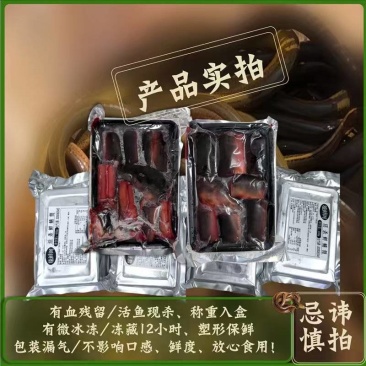鳝鱼鲜杀鳝鱼段鳝鱼筒工厂活鱼鲜杀直供商超餐饮配送到店