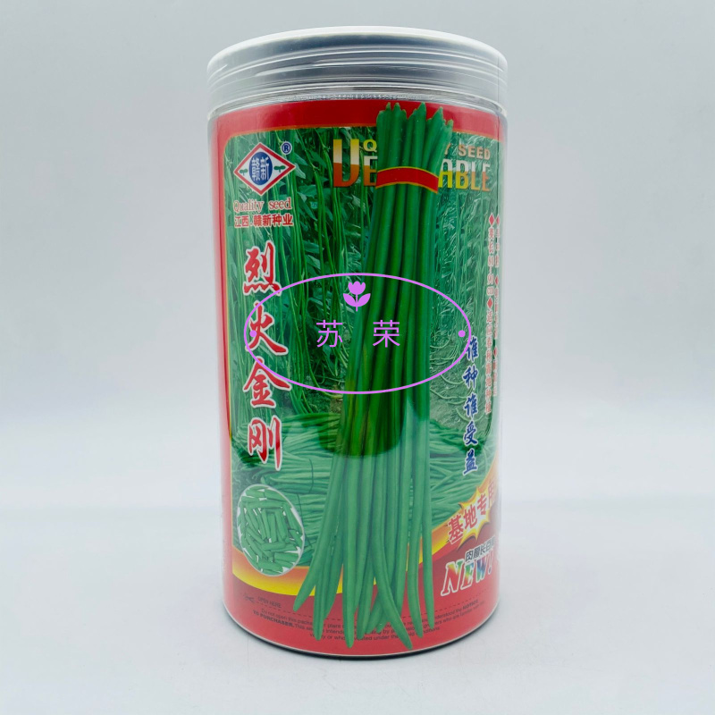 烈火金刚耐热豆角种子中早熟绿色油亮肉厚耐运输采收期长豆角