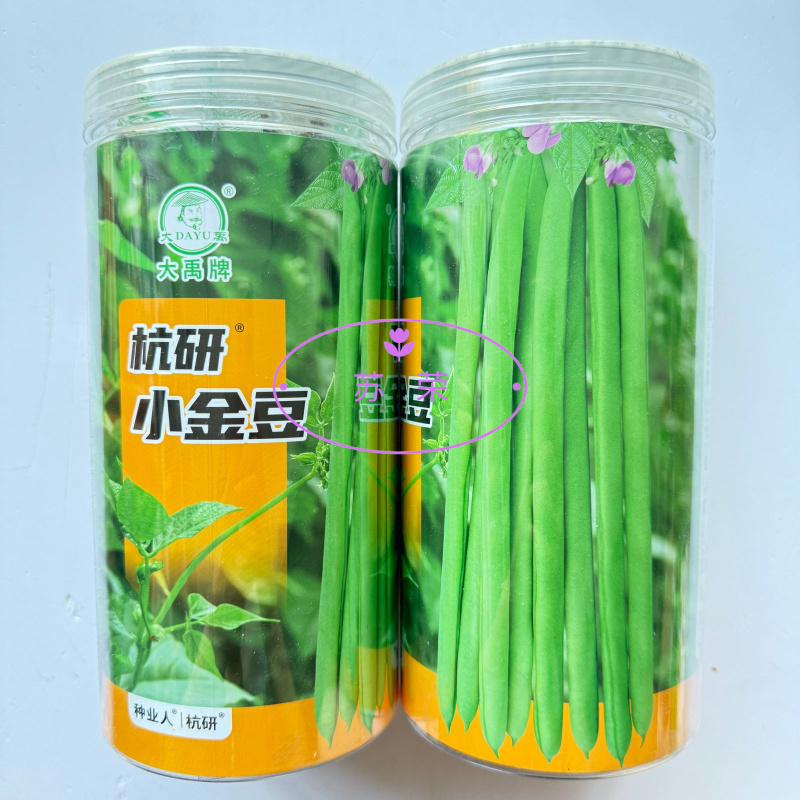 大禹杭研小金豆无限生长早熟架豆种子荚天下顺直肉质肥厚无筋
