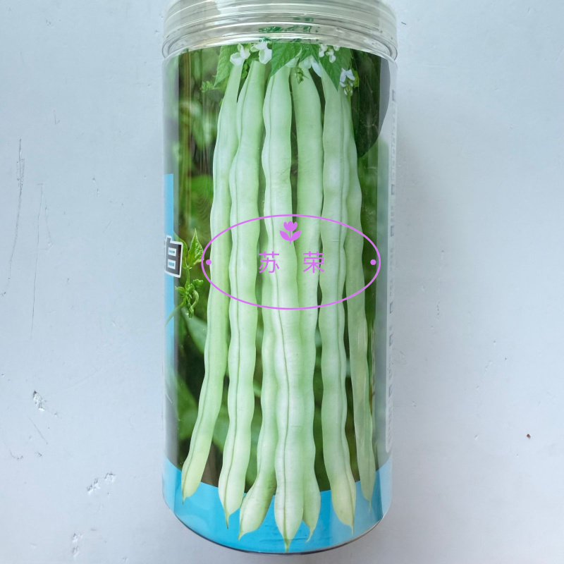 大禹杭研九粒白架豆种子豆荚圆棍型荚肉质肥厚纤维少白架豆种