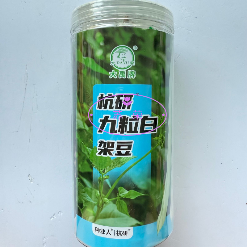 大禹杭研九粒白架豆种子豆荚圆棍型荚肉质肥厚纤维少白架豆种