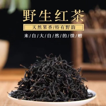 云南滇红茶野生古树红茶