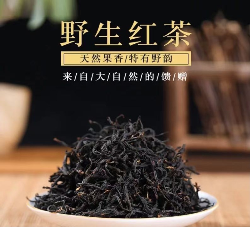云南滇红茶野生古树红茶