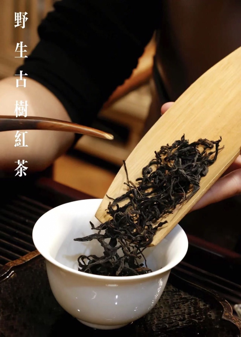 云南滇红茶野生古树红茶