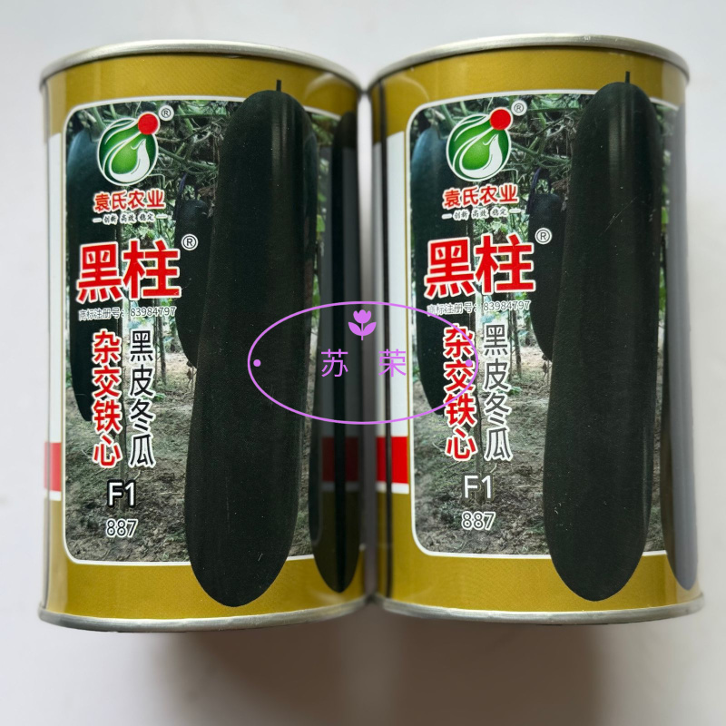 黑柱杂交铁心黑皮冬瓜种子杂交黑皮冬瓜高产厚肉