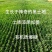五常大米源头工厂，产地直发OEM代工大宗采购批发