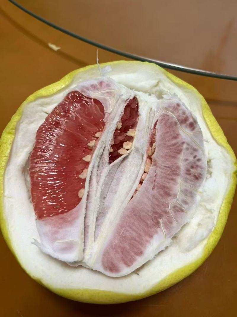 广东梅州大埔蜜柚