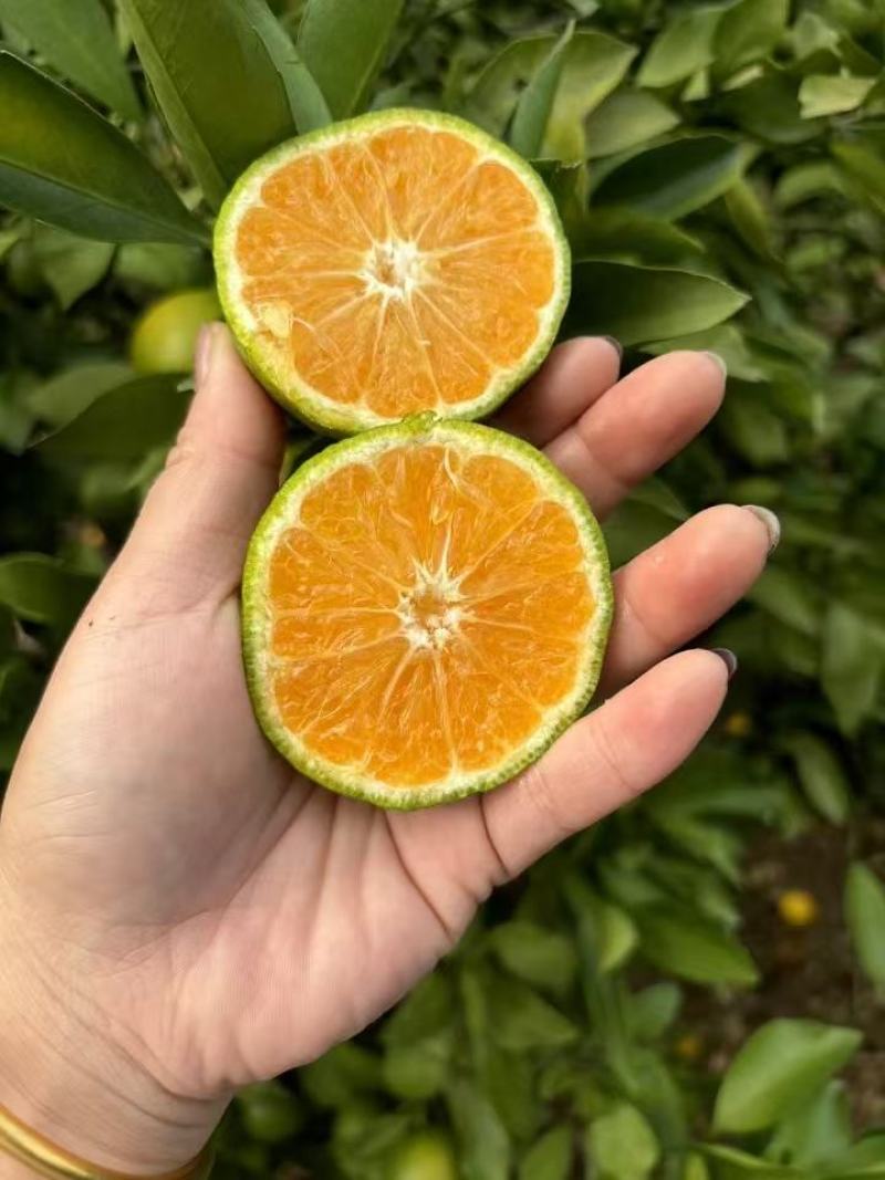 重楼鲜货选个