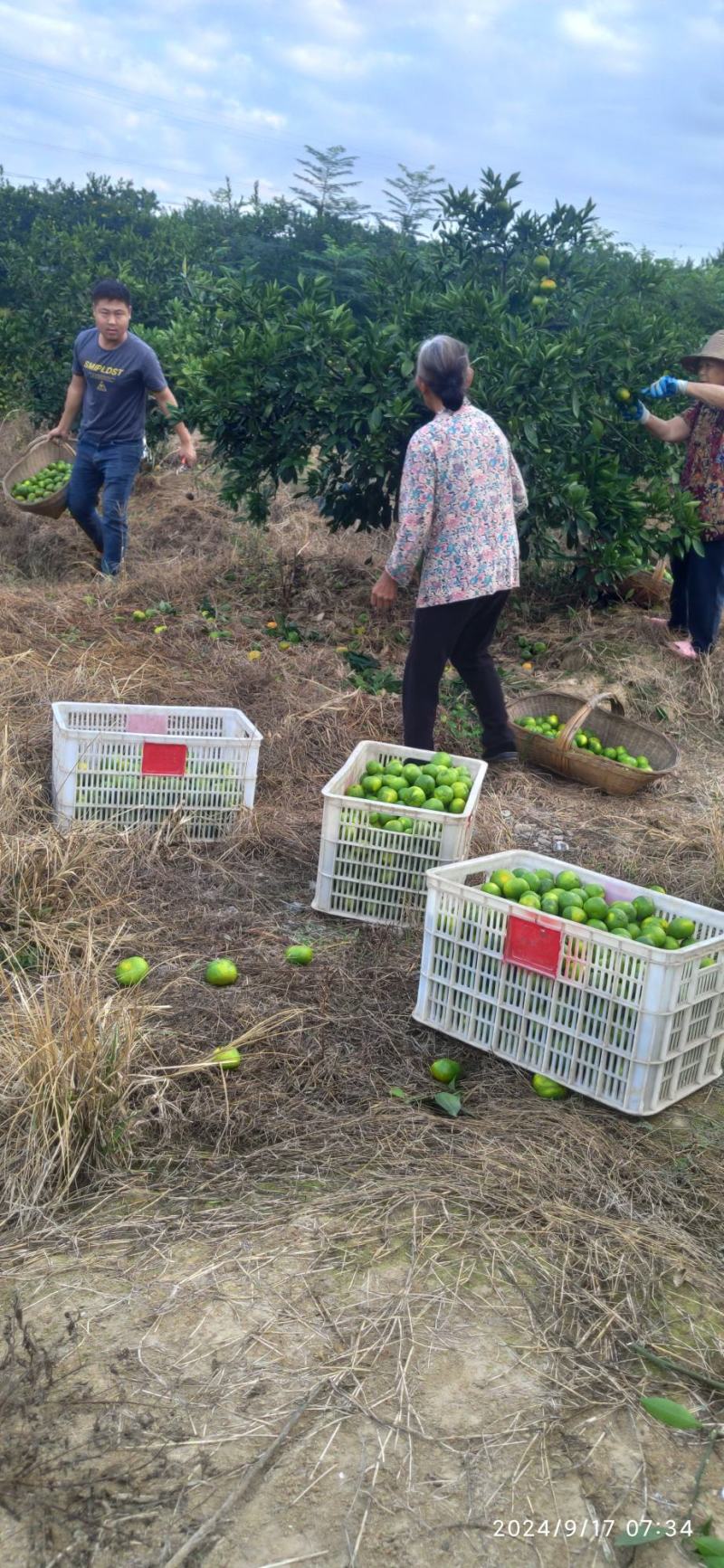 重楼鲜货选个