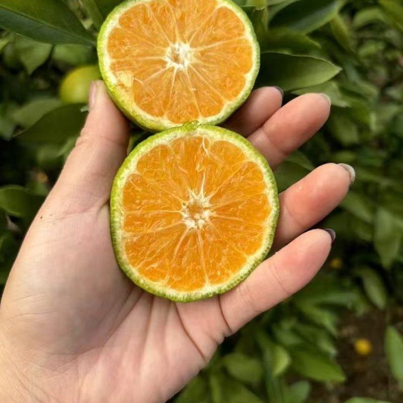 重楼鲜货选个