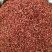 新货韩城大红袍花椒香红麻净无籽
