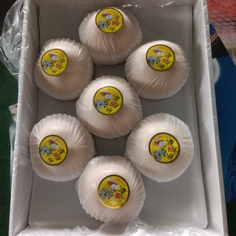冠县秋月梨大量现货欢迎有需要的客户洽谈合作。