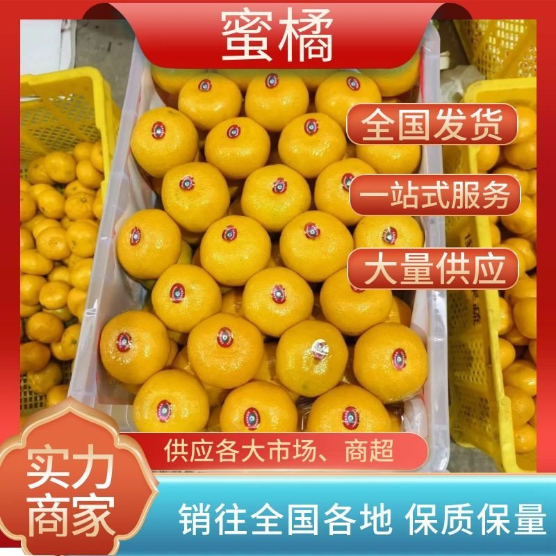 蜜橘宜昌蜜桔柑桔皮薄多汁口感纯甜高山蜜橘对接电商平台