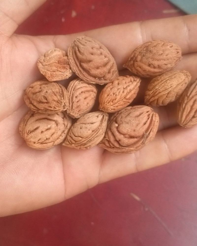 毛桃胡