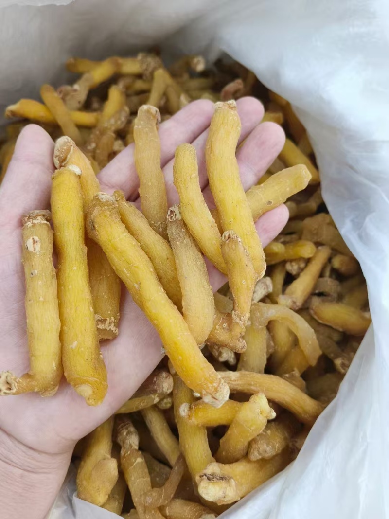 湖南玉竹条选装油条生晒无硫干度好颜色好发货快量大从优