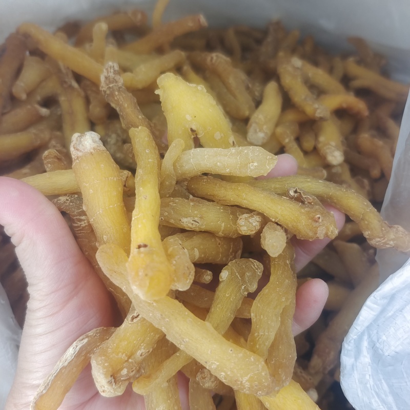 湖南玉竹条选装油条生晒无硫干度好颜色好发货快量大从优