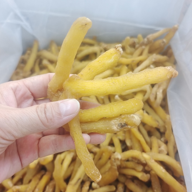 湖南玉竹条选装油条生晒无硫干度好颜色好发货快量大从优