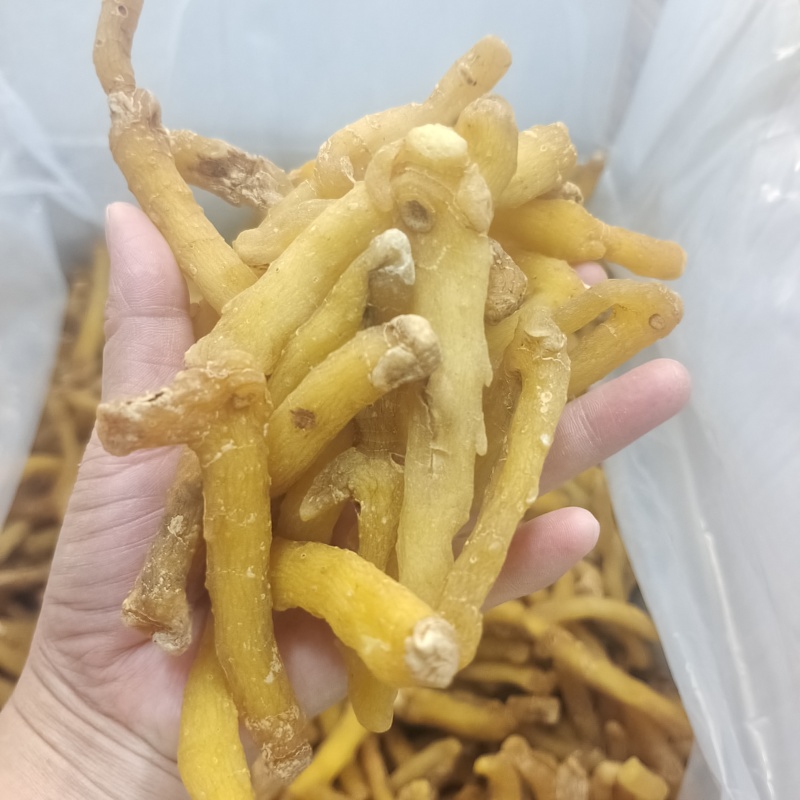 湖南玉竹条选装油条生晒无硫干度好颜色好发货快量大从优
