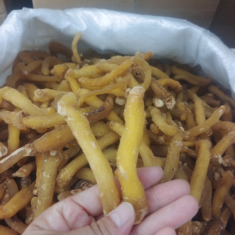 湖南玉竹条选装油条生晒无硫干度好颜色好发货快量大从优